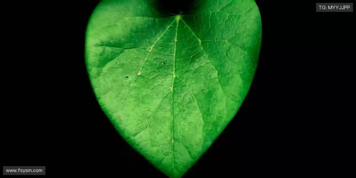 热血集结，见证荣耀时刻！🔥